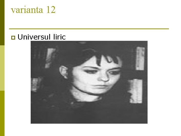 varianta 12 p Universul liric varianta 12 p Universul liric