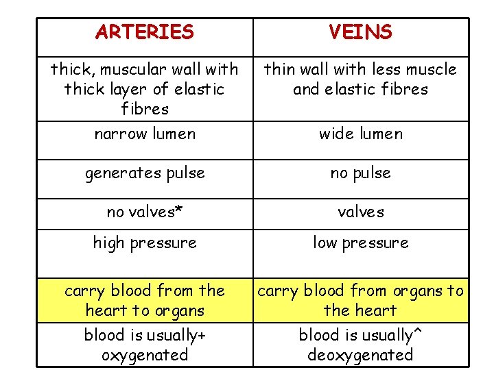 ARTERIES VEINS thick, muscular wall with thick layer of elastic fibres thin wall with