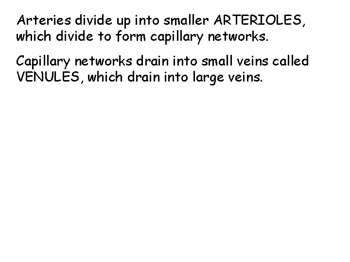 Arteries divide up into smaller ARTERIOLES, which divide to form capillary networks. Capillary networks