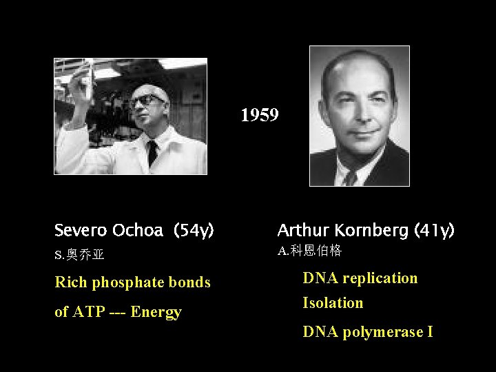 1959 Severo Ochoa (54 y) Arthur Kornberg (41 y) S. 奥乔亚 A. 科恩伯格 Rich