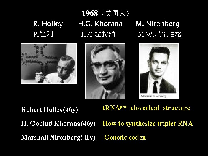 1968（美国人） R. Holley R. 霍利 H. G. Khorana H. G. 霍拉纳 M. Nirenberg M.