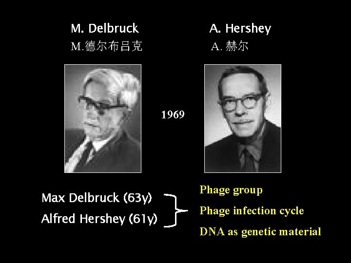 M. Delbruck A. Hershey M. 德尔布吕克 A. 赫尔 1969 Max Delbruck (63 y) Alfred