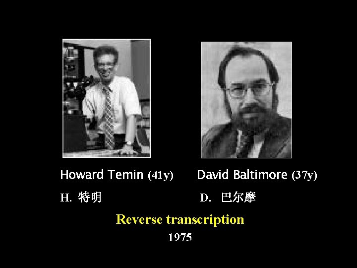 Howard Temin (41 y) David Baltimore (37 y) H. 特明 D. 巴尔摩 Reverse transcription
