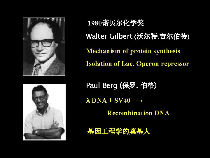 1980诺贝尔化学奖 Walter Gilbert (沃尔特. 吉尔伯特) Mechanism of protein synthesis Isolation of Lac. Operon repressor