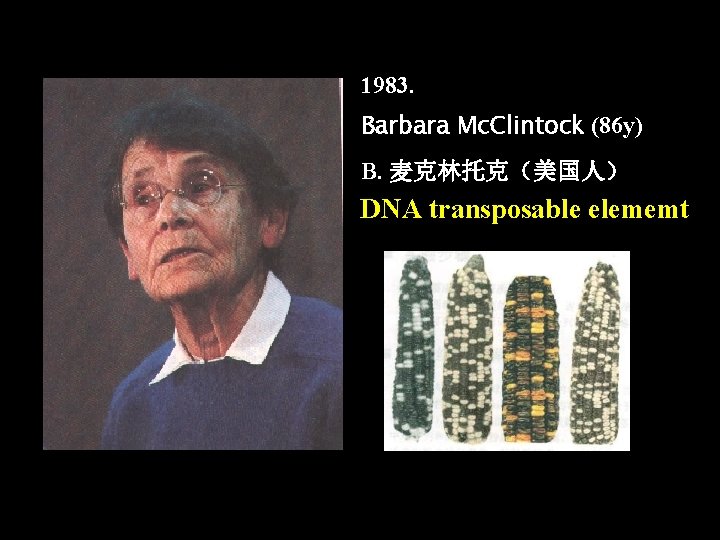 1983. Barbara Mc. Clintock (86 y) B. 麦克林托克（美国人） DNA transposable elememt 