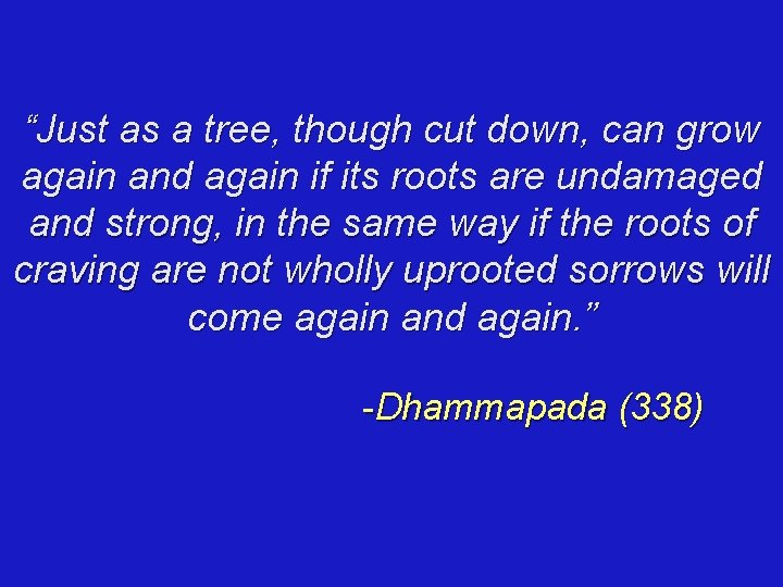 “Just as a tree, though cut down, can grow again and again if its