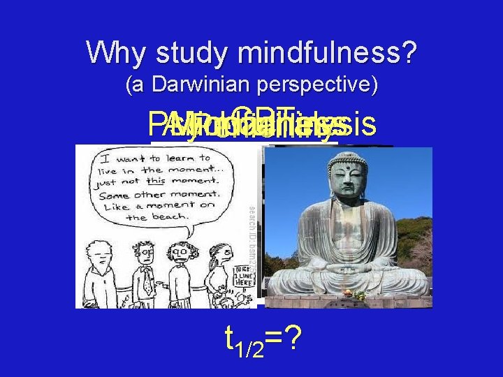 Why study mindfulness? (a Darwinian perspective) CBT Mindfulness Psychoanalysis Ab machine Penicillin t 1/2=?