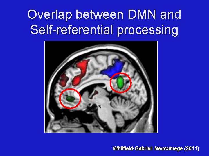 Overlap between DMN and Self-referential processing Whitfield-Gabrieli Neuroimage (2011) 