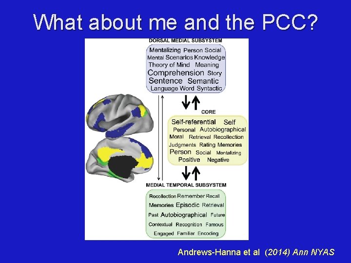 What about me and the PCC? Andrews-Hanna et al (2014) Ann NYAS 