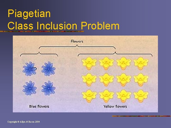 Piagetian Class Inclusion Problem Copyright © Allyn & Bacon 2004 