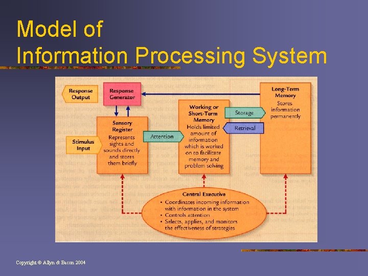 Model of Information Processing System Copyright © Allyn & Bacon 2004 