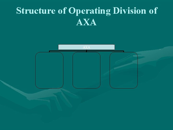 Structure of Operating Division of AXA 