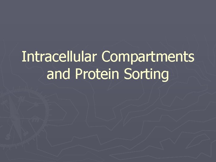 Intracellular Compartments and Protein Sorting 