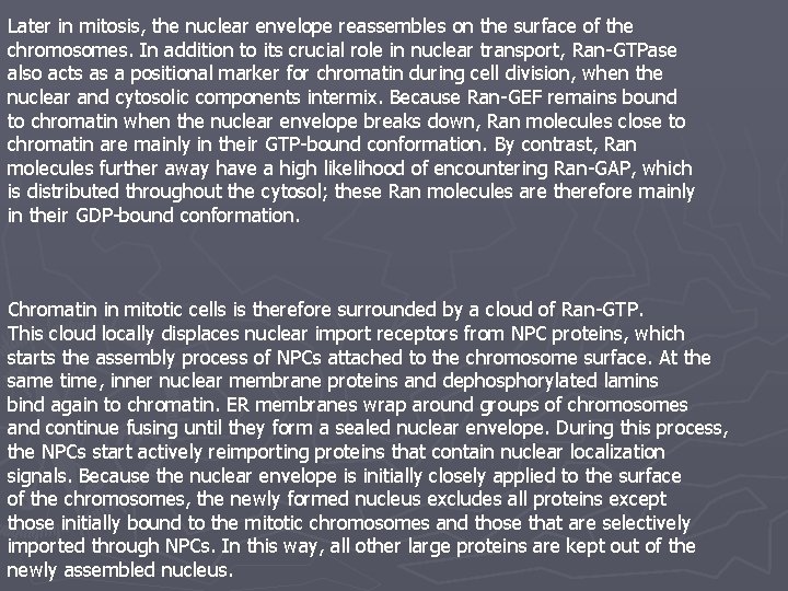 Later in mitosis, the nuclear envelope reassembles on the surface of the chromosomes. In