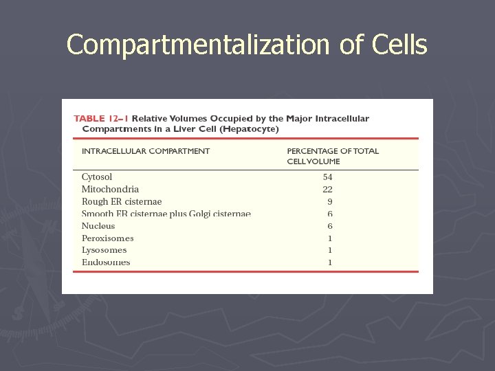 Compartmentalization of Cells 