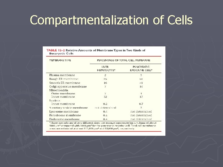 Compartmentalization of Cells 