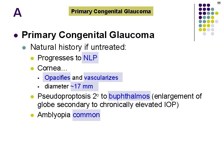 55 A l Primary Congenital Glaucoma l Natural history if untreated: l l Progresses