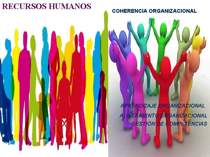 RECURSOS HUMANOS COHERENCIA ORGANIZACIONAL APRENDIZAJE ORGANIZACIONAL ALINEAMIENTO ORGANIZACIONAL GESTIÓN DE COMPETENCIAS 