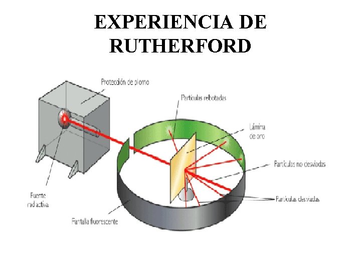 EXPERIENCIA DE RUTHERFORD 