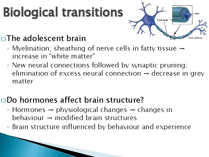 Biological transitions � The adolescent brain ◦ Myelination; sheathing of nerve cells in fatty Biological transitions � The adolescent brain ◦ Myelination; sheathing of nerve cells in fatty