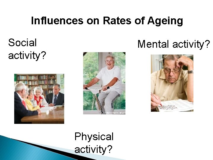 Influences on Rates of Ageing Social activity? Mental activity? Physical activity? Influences on Rates of Ageing Social activity? Mental activity? Physical activity?