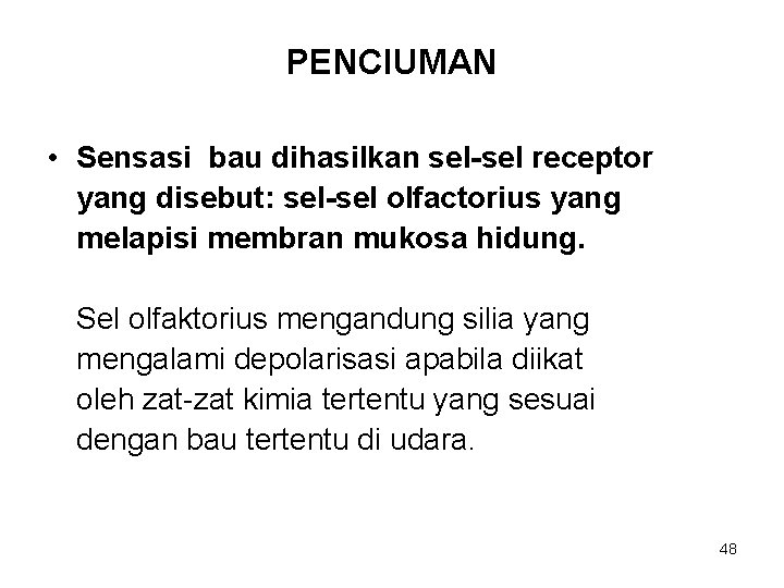 PENCIUMAN • Sensasi bau dihasilkan sel-sel receptor yang disebut: sel-sel olfactorius yang melapisi membran PENCIUMAN • Sensasi bau dihasilkan sel-sel receptor yang disebut: sel-sel olfactorius yang melapisi membran