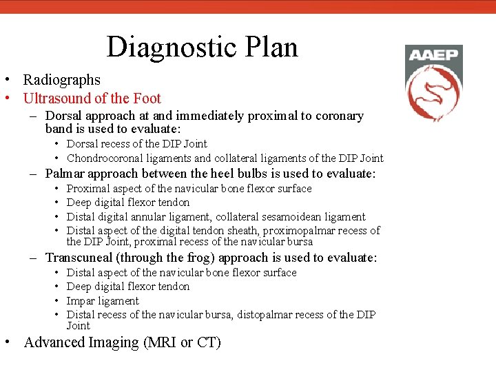  Diagnostic Plan • Radiographs • Ultrasound of the Foot – Dorsal approach at