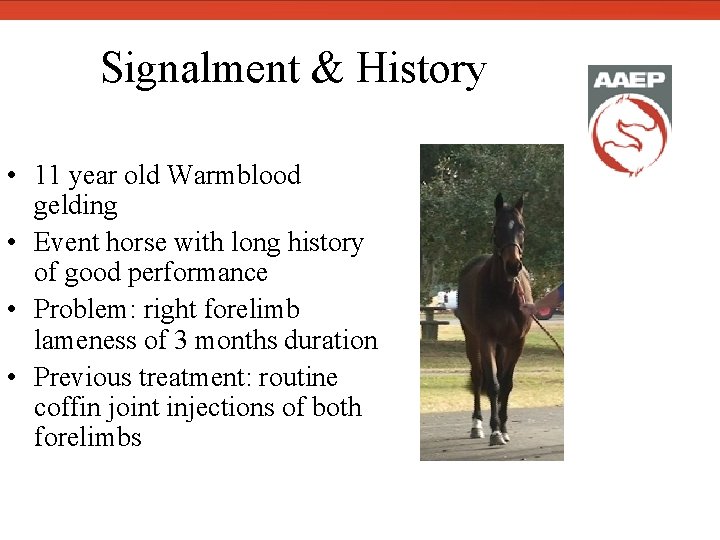  Signalment & History • 11 year old Warmblood gelding • Event horse with