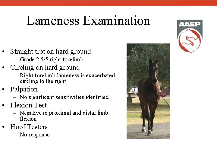  Lameness Examination • Straight trot on hard ground – Grade 2. 5/5 right