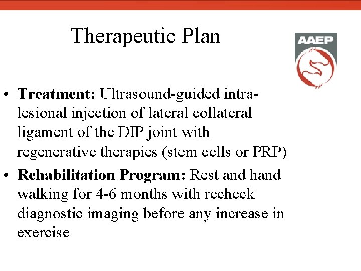  Therapeutic Plan • Treatment: Ultrasound-guided intralesional injection of lateral collateral ligament of the