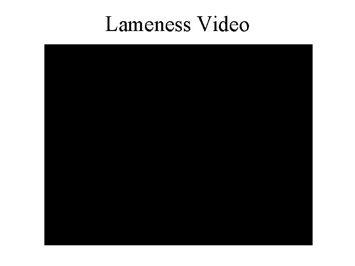 Lameness Video 