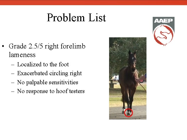  Problem List • Grade 2. 5/5 right forelimb lameness – – Localized to