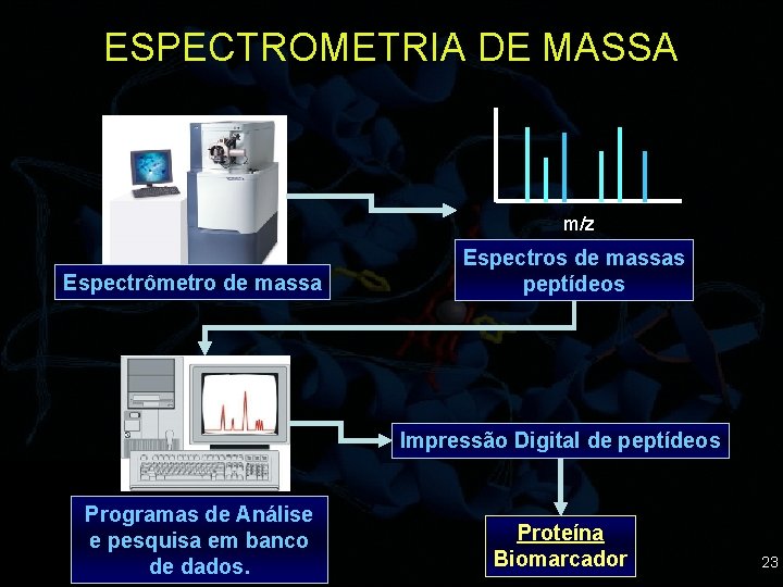 ESPECTROMETRIA DE MASSA m/z Espectrômetro de massa Espectros de massas peptídeos Impressão Digital de