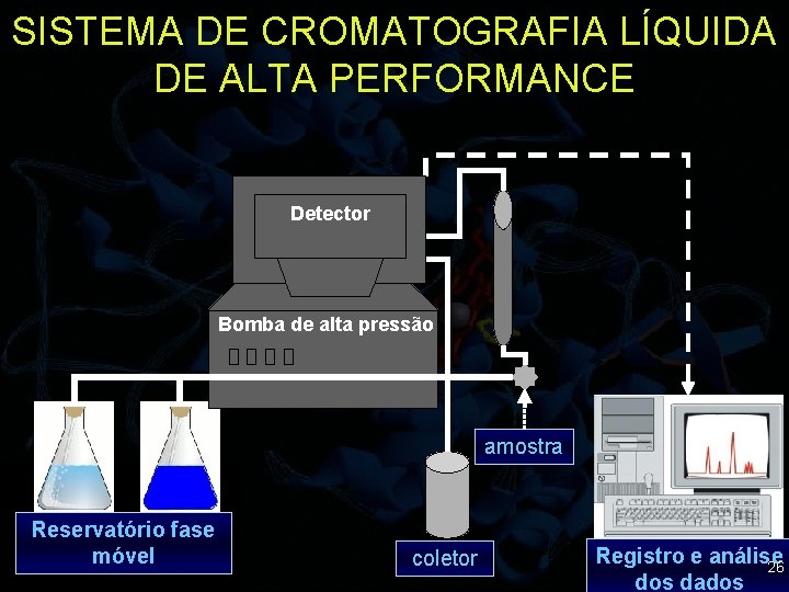 SISTEMA DE CROMATOGRAFIA LÍQUIDA DE ALTA PERFORMANCE Detector Bomba de alta pressão amostra Reservatório