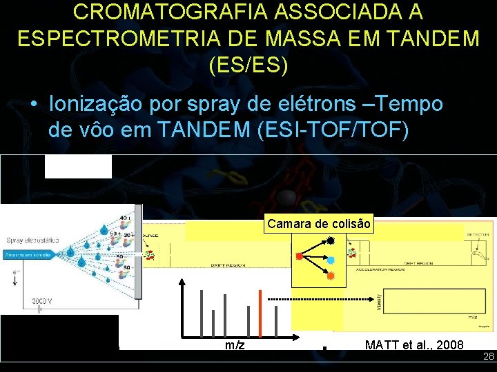 CROMATOGRAFIA ASSOCIADA A ESPECTROMETRIA DE MASSA EM TANDEM (ES/ES) • Ionização por spray de