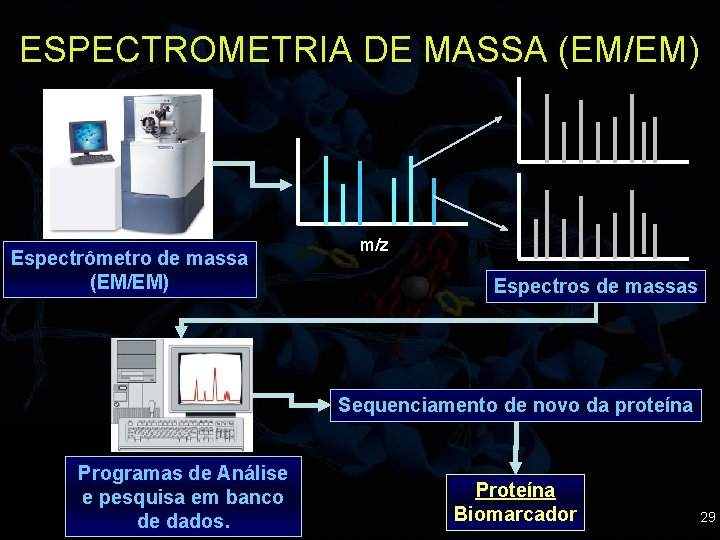 ESPECTROMETRIA DE MASSA (EM/EM) Espectrômetro de massa (EM/EM) m/z Espectros de massas Sequenciamento de