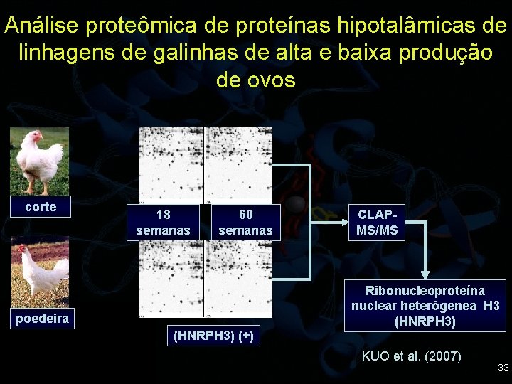 Análise proteômica de proteínas hipotalâmicas de linhagens de galinhas de alta e baixa produção