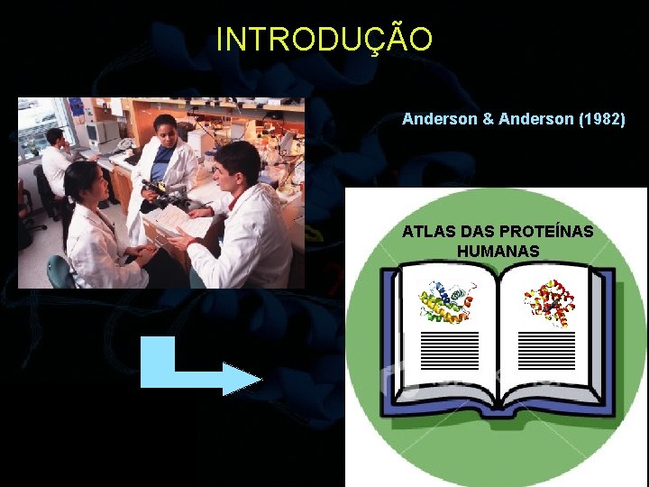 INTRODUÇÃO Anderson & Anderson (1982) ATLAS DAS PROTEÍNAS HUMANAS 5 