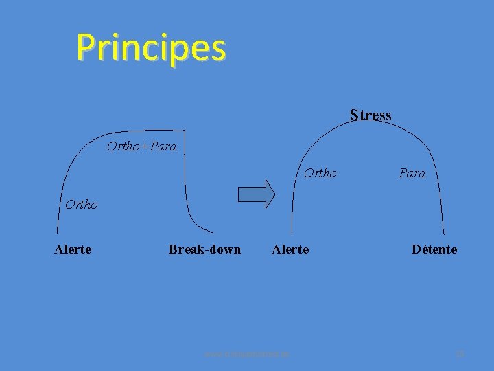 Principes Stress Ortho+Para Ortho Alerte Break-down Alerte www. cliniquedustress. be Détente 15 