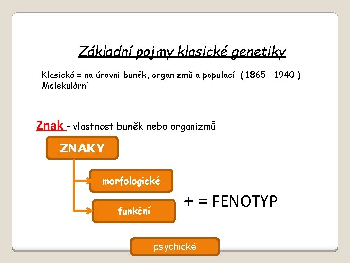 Základní pojmy klasické genetiky Klasická = na úrovni buněk, organizmů a populací ( 1865