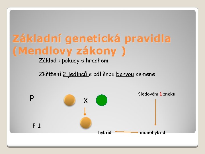 Základní genetická pravidla (Mendlovy zákony ) Základ : pokusy s hrachem Zkřížení 2 jedinců