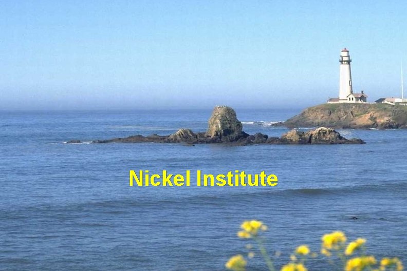 Nickel Institute 