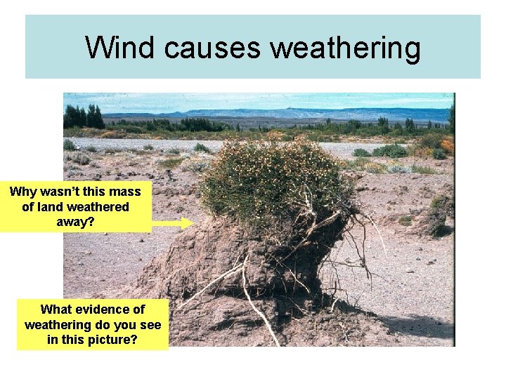 Wind causes weathering Why wasn’t this mass of land weathered away? What evidence of