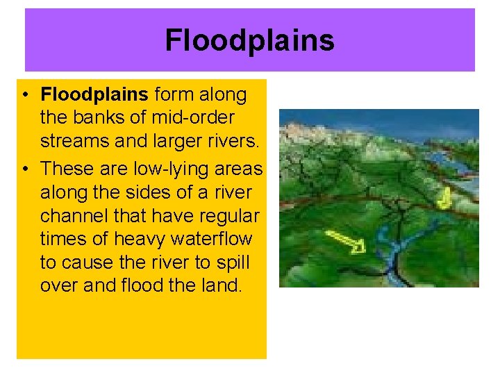 Floodplains • Floodplains form along the banks of mid-order streams and larger rivers. •