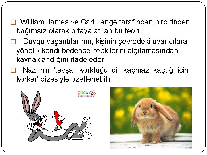 � William James ve Carl Lange tarafından birbirinden bağımsız olarak ortaya atılan bu teori