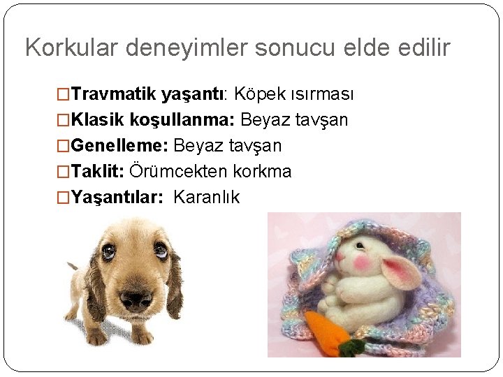 Korkular deneyimler sonucu elde edilir �Travmatik yaşantı: Köpek ısırması �Klasik koşullanma: Beyaz tavşan �Genelleme: