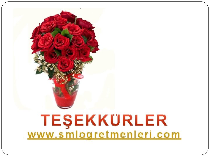 www. smlogretmenleri. com 