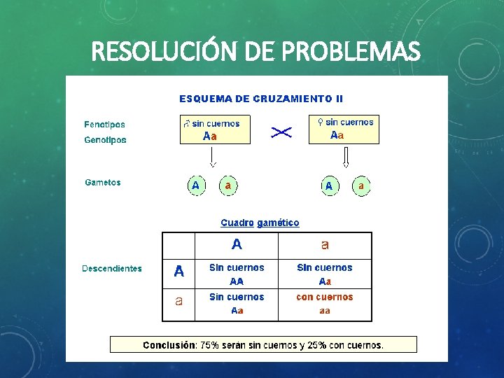 RESOLUCIÓN DE PROBLEMAS 