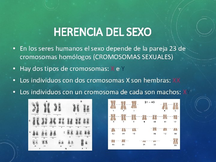 HERENCIA DEL SEXO • En los seres humanos el sexo depende de la pareja