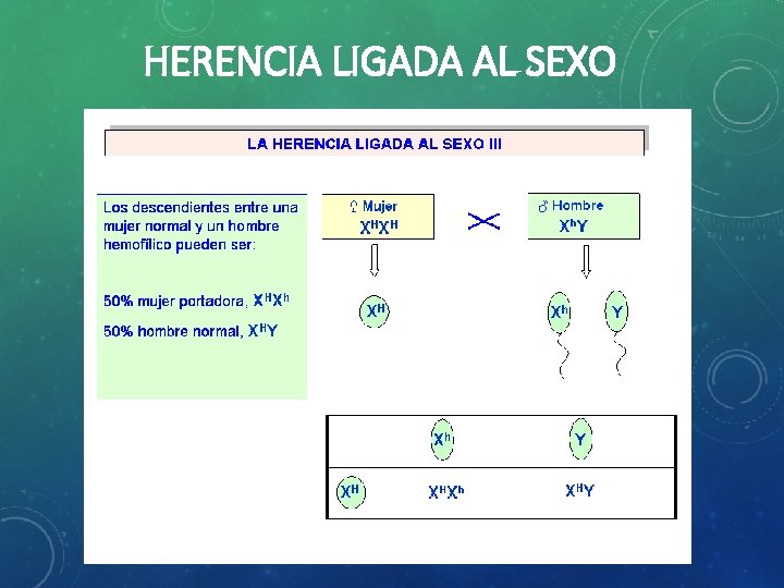 HERENCIA LIGADA AL SEXO 